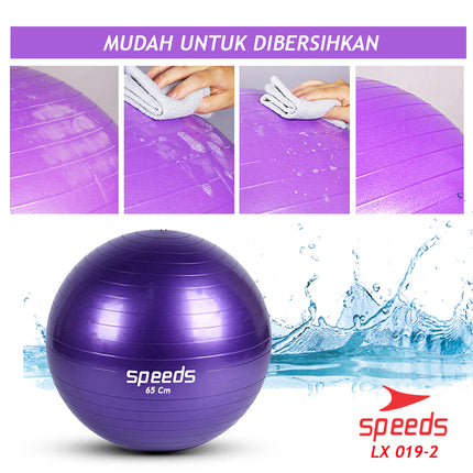 SPEEDS Gym Ball fitness 65 cm / Bola Gym / Bola yoga alat olahraga Gymball (Bonus Pompa) 019-2