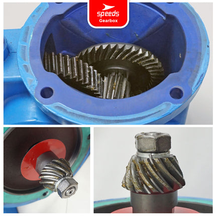 SPEEDS Gearbox 4-9 Spline 750W - 1500W