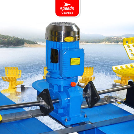 SPEEDS Gearbox 4-9 Spline 750W - 1500W